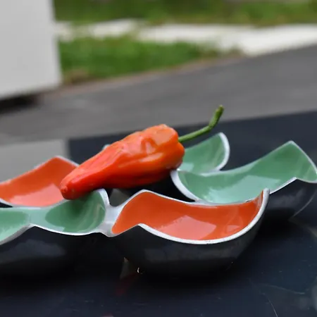 Jm Local No 波尔图